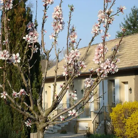Daire Les Communs Du Manoir