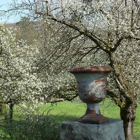 Les Communs Du Manoir Écully